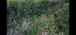 Image 1.jpeg